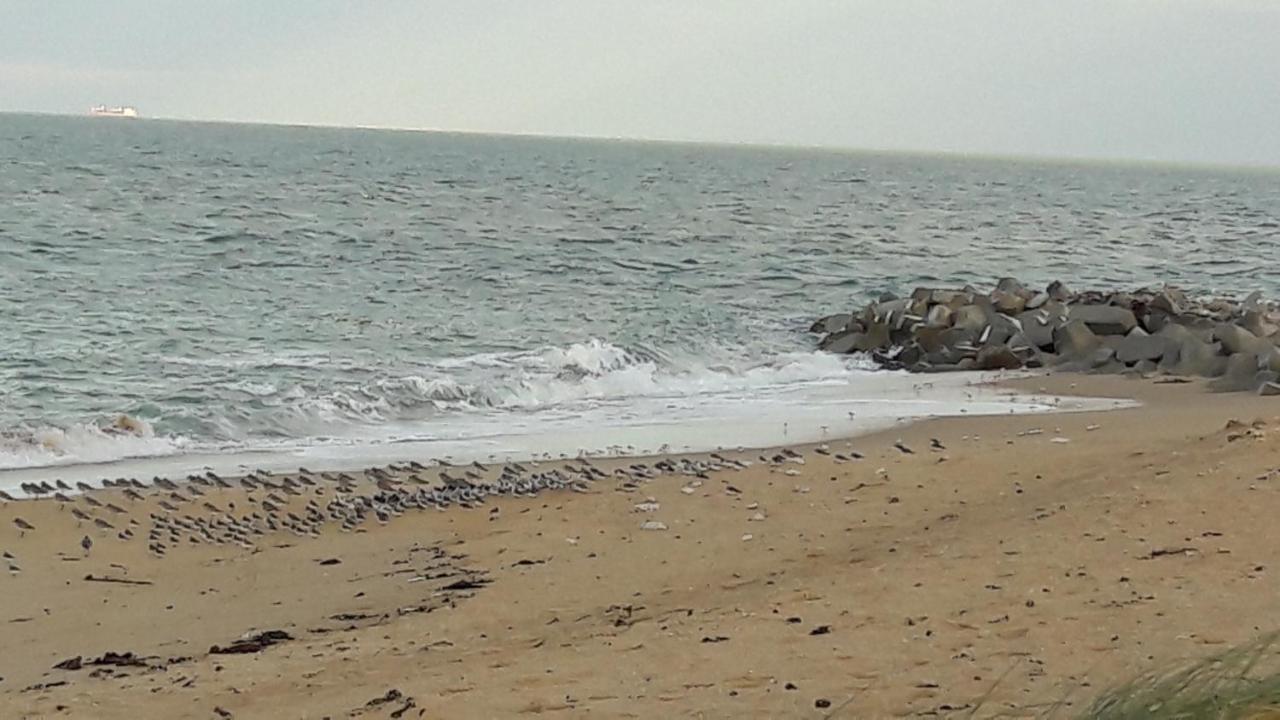 Ma Chaumiere Villa La Cotiniere Bagian luar foto