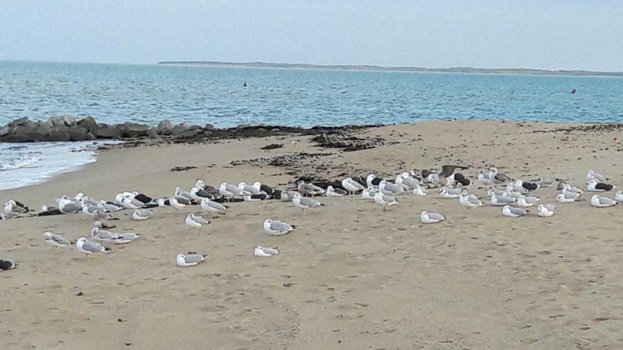 Ma Chaumiere Villa La Cotiniere Bagian luar foto